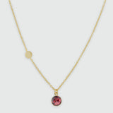 Salina Garnet and Gold Vermeil Disc Necklace