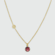 Salina Garnet and Gold Vermeil Disc Necklace