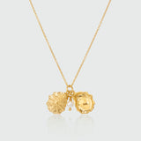 Gaia Gold Vermeil Oyster Shell & Pearl Necklace