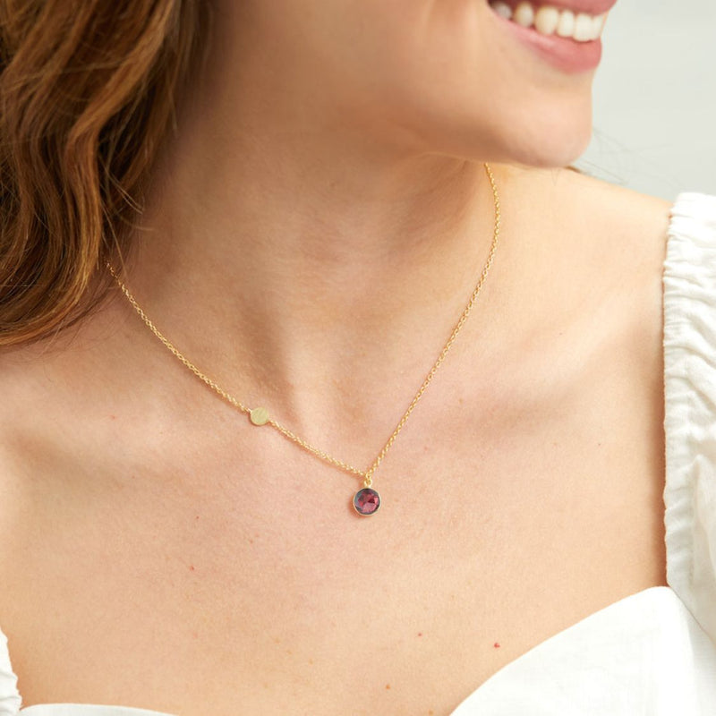 Necklaces & Pendants - Salina Gold Vermeil Disc & Garnet Necklace