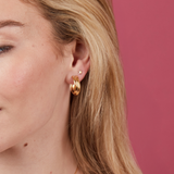 Alta 18ct Gold Vermeil Star Stud Earrings