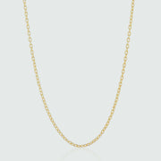 Victoria Yellow Gold Vermeil Trace Chain-Auree Jewellery