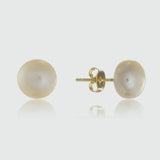 Molina White Freshwater Pearl & Gold Vermeil Stud Earrings-Auree Jewellery