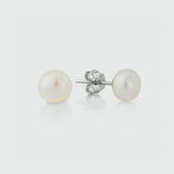 Seville White Freshwater Pearl Stud Earrings-Auree Jewellery