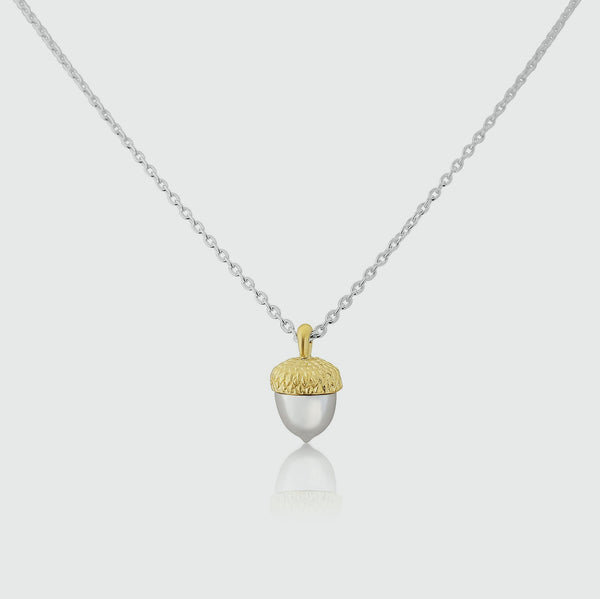 Sherwood Silver & Gold Acorn Necklace-Auree Jewellery