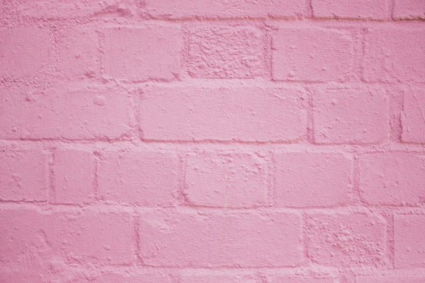 Championing Female Founders