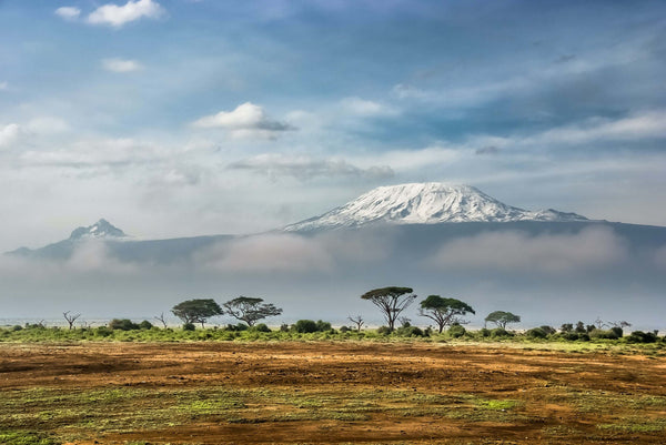 East Coast of Africa