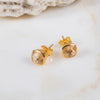 Brooklyn Citrine & Gold Vermeil Stud Earrings