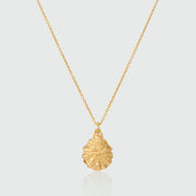 Gaia Gold Vermeil Oyster Shell & Pearl Necklace