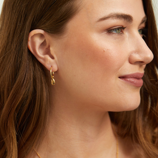 Manhattan Moka Gold Shell Interchangeable Earrings