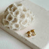 Earrings - Moka Shell Gold Vermeil Stud Earrings