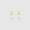 Earrings - Hampton Gold Vermeil Interchangeable Pearl Drops
