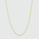 Victoria Yellow Gold Vermeil Trace Chain-Auree Jewellery