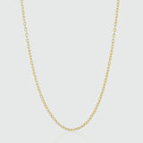 Chains - Waverley Yellow Gold Vermeil Trace Chain