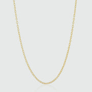 Victoria Yellow Gold Vermeil Trace Chain-Auree Jewellery