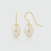 Gloucester White Freshwater Pearl & Gold Vermeil Drop Earrings-Auree Jewellery