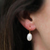 Gloucester White Freshwater Pearl & Gold Vermeil Drop Earrings-Auree Jewellery