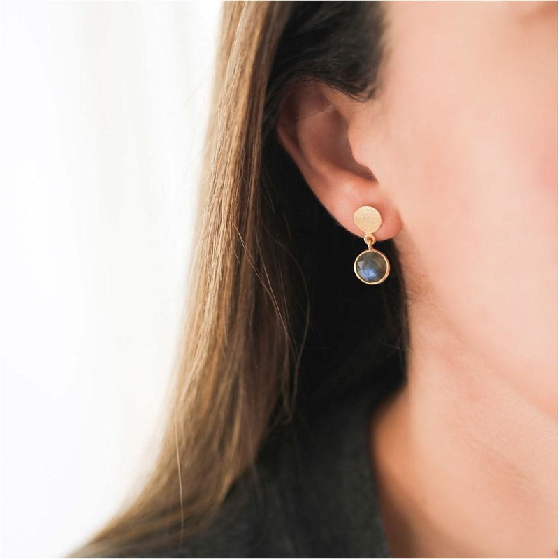 Earrings - Salina Gold Vermeil Disc & Labradorite Earrings