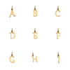 Audley 9ct Yellow Gold Alphabet Pendant-Auree Jewellery