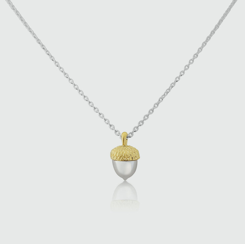 Sherwood Silver & Gold Acorn Necklace-Auree Jewellery